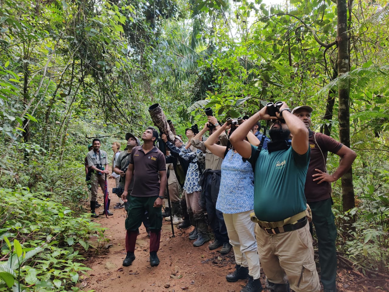 Sinharaja Forest Reserve